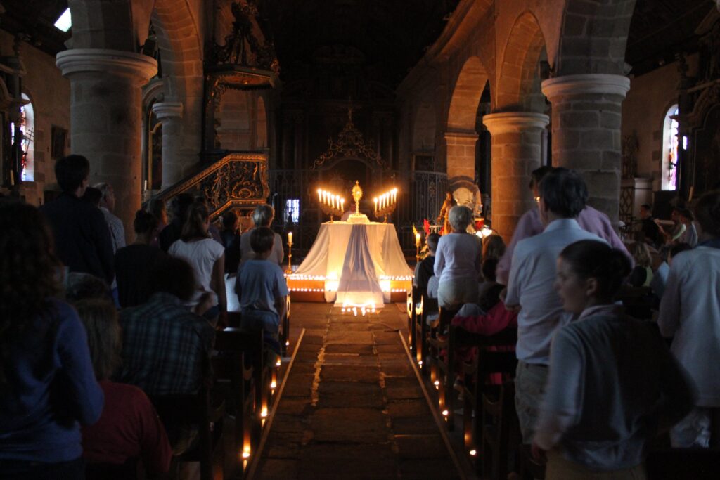 img 0352 ALpJpq3lB9t4ppWz